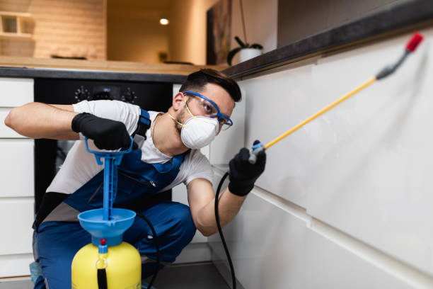 Best Best Pest Control Companies  in Red Oak, TX