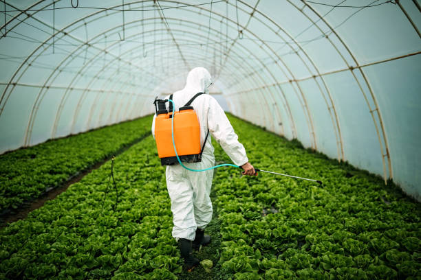 Best Best Pest Control Companies  in Red Oak, TX