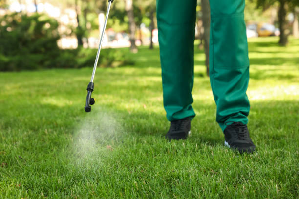 Reliable Red Oak, TX Pest Control Solutions