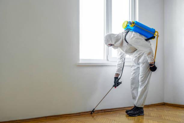Best Rat Extermination Near Me  in Red Oak, TX
