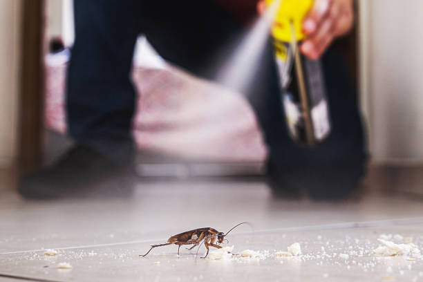 Best Wasp Removal Services  in Red Oak, TX