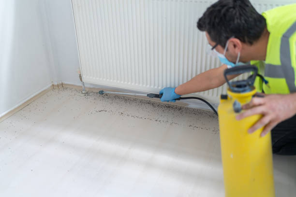 Best Pest Removal Services  in Red Oak, TX